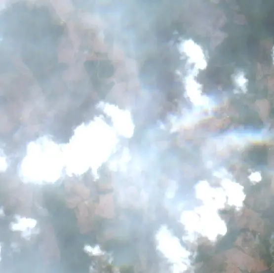 After — Pacajá (Sentinel-2, 2026-10-19)
