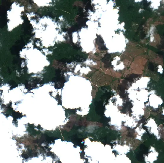 Depois — Anapu (Sentinel-2, 2026-10-16)
