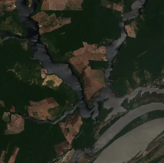After —  (Sentinel-2, 2026-09-08)