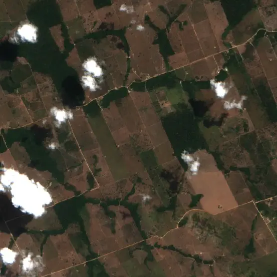 Before — Novo Progresso (Sentinel-2, 2026-09-02)