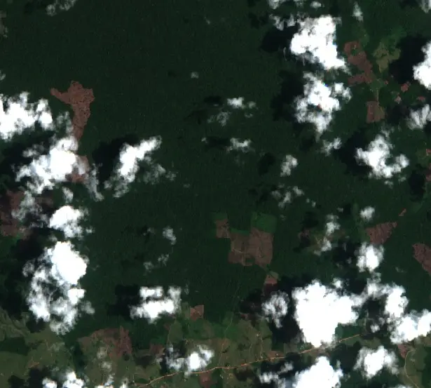 After — Ipixuna (Sentinel-2, 2026-10-13)