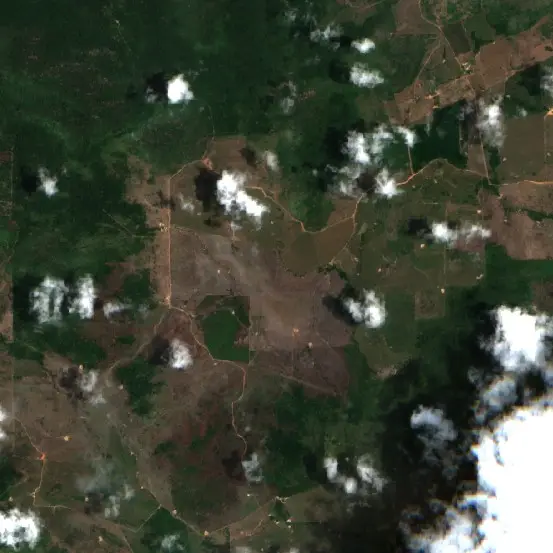 After — São Félix do Xingu (Sentinel-2, 2026-10-19)