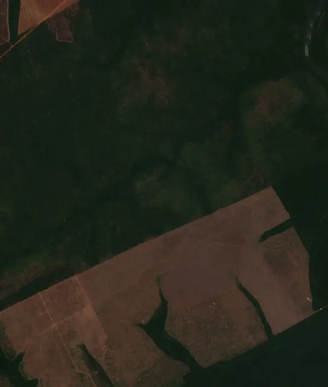 Before — Nova Maringá (Sentinel-2, 2026-09-25)