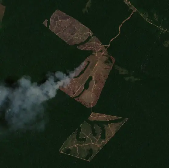 Depois — Rorainópolis (Sentinel-2, 2026-09-21)