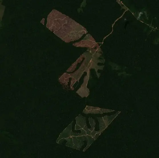 Antes — Rorainópolis (Sentinel-2, 2026-08-09)