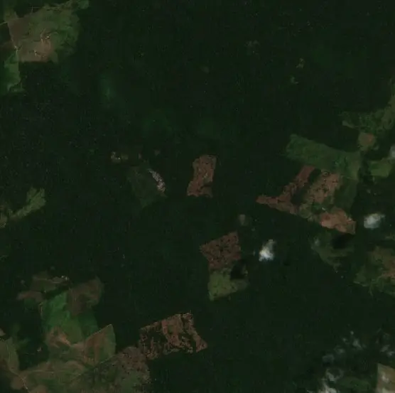 Before — Monte Alegre (Sentinel-2, 2026-08-30)