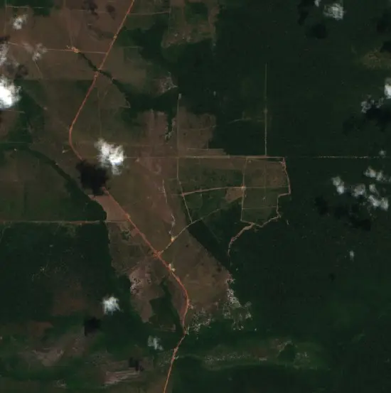 After — Colniza (Sentinel-2, 2026-09-08)