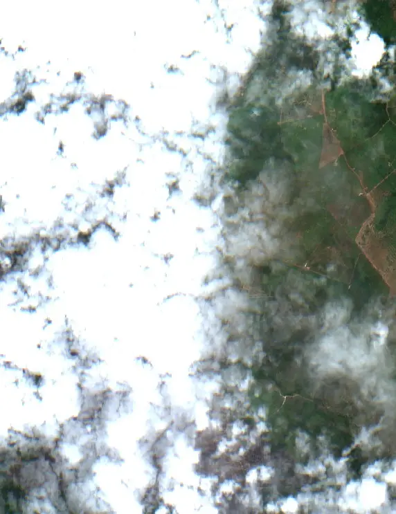 After — São Félix do Xingu (Sentinel-2, 2026-10-19)