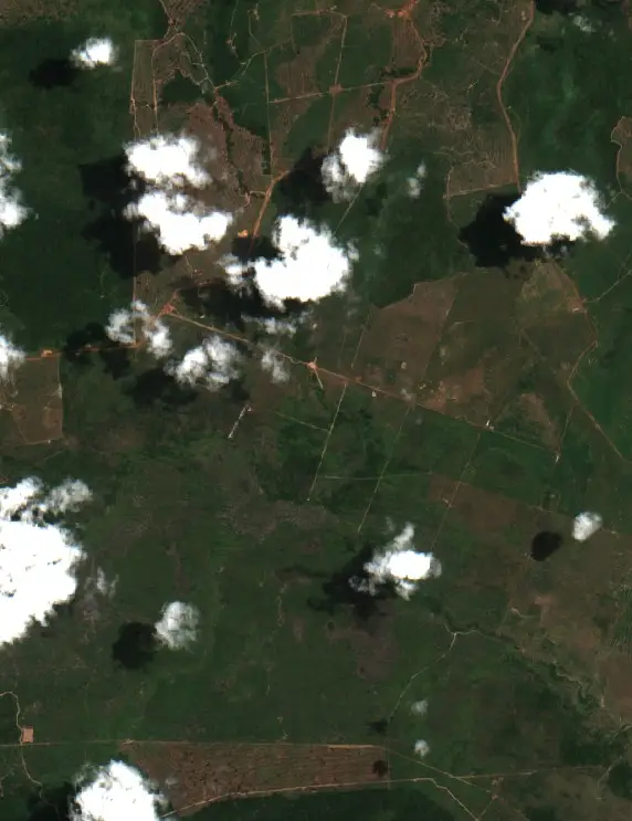 Before — São Félix do Xingu (Sentinel-2, 2026-09-16)