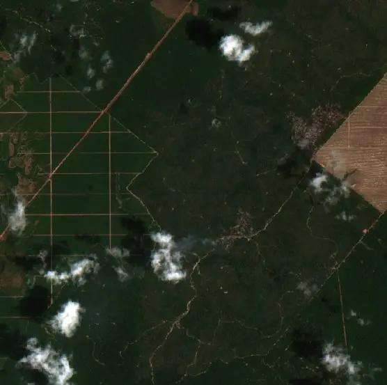 After — Tomé-Açu (Sentinel-2, 2026-10-21)