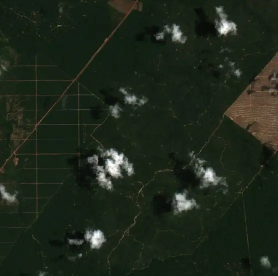 Before — Tomé-Açu (Sentinel-2, 2026-09-21)