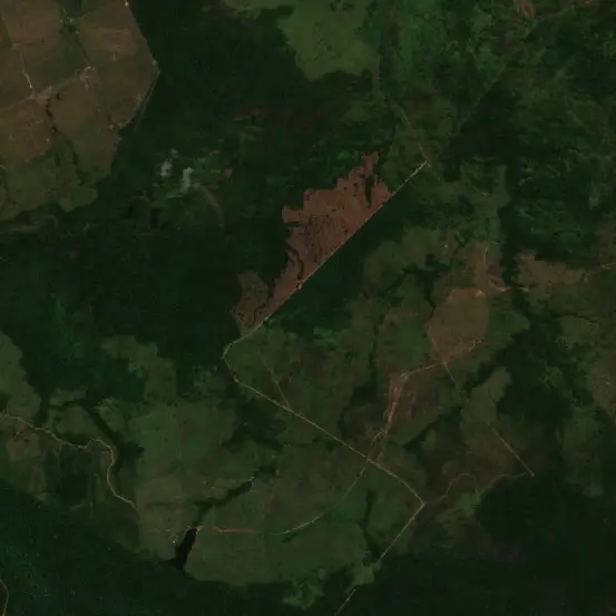 Before — São Félix do Xingu (Sentinel-2, 2026-08-15)