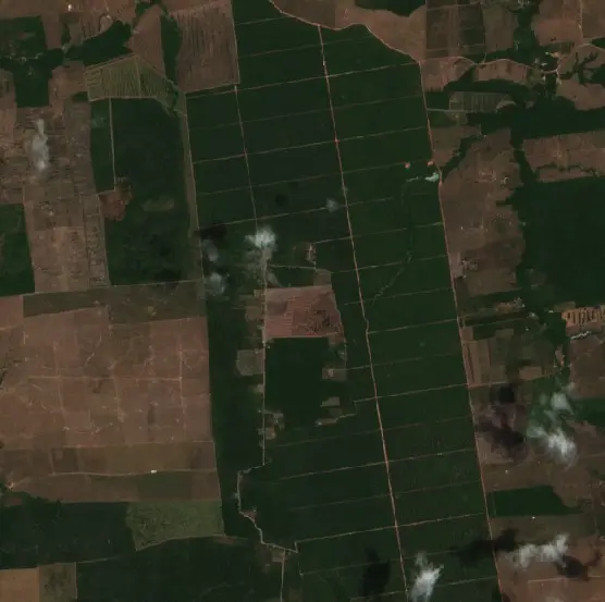 Depois — Aurora do Pará (Sentinel-2, 2026-10-03)