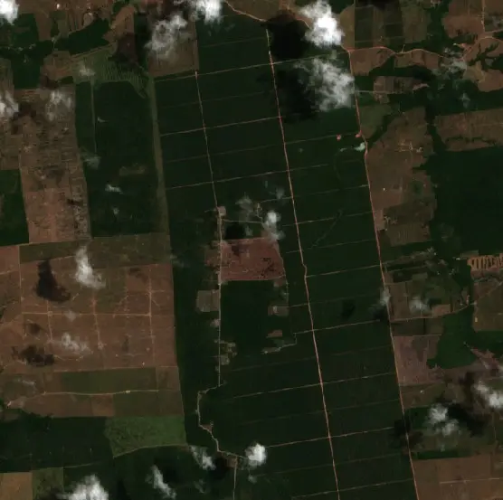 Antes — Aurora do Pará (Sentinel-2, 2026-09-03)