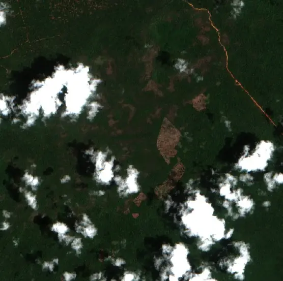 Depois — Almeirim (Sentinel-2, 2026-10-19)