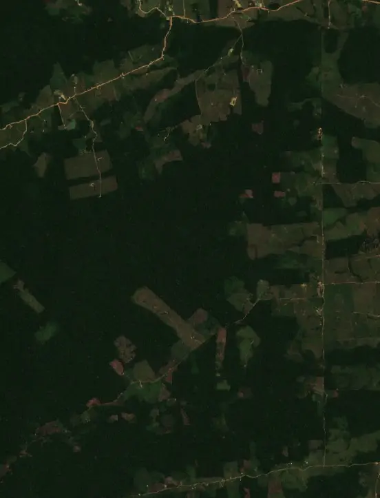 Before — Rodrigues Alves (Sentinel-2, 2026-08-31)