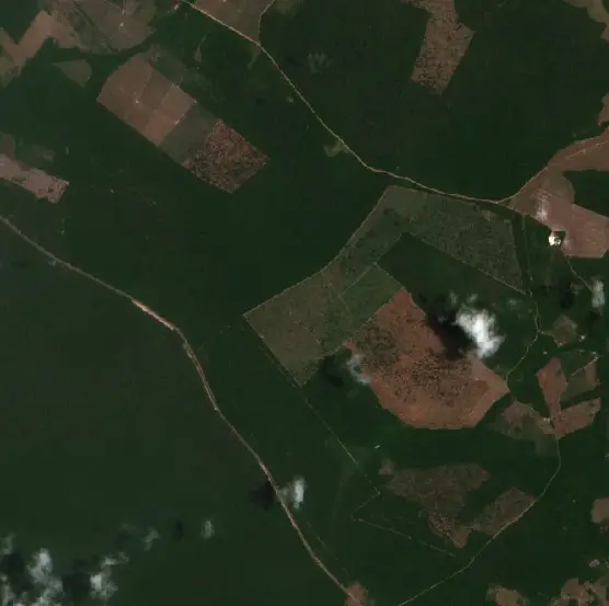 Depois — Moju (Sentinel-2, 2026-10-03)