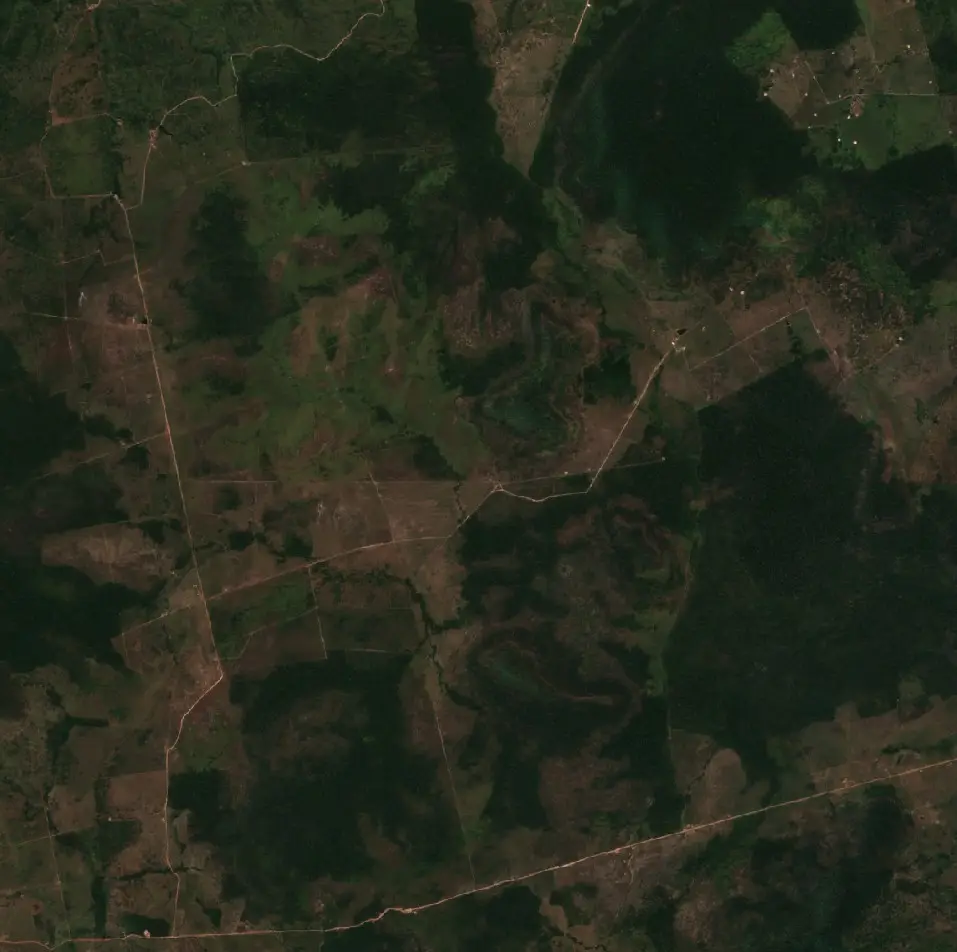 Before — São Félix do Xingu (Sentinel-2, 2026-08-20)