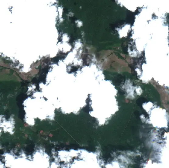 After — Gurupá (Sentinel-2, 2026-10-19)