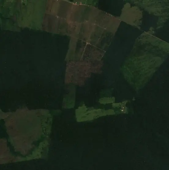 Before — Humaitá (Sentinel-2, 2026-08-22)