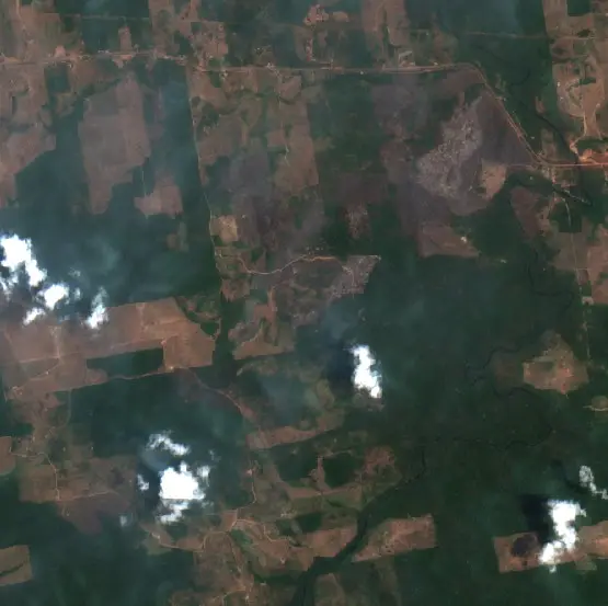 Depois — Rurópolis (Sentinel-2, 2026-10-12)