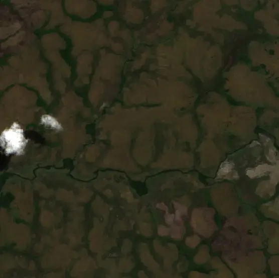 Before — Oriximiná (Sentinel-2, 2026-08-11)