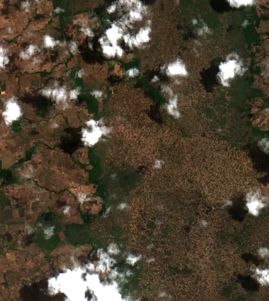 Depois —  (Sentinel-2, 2026-09-08)