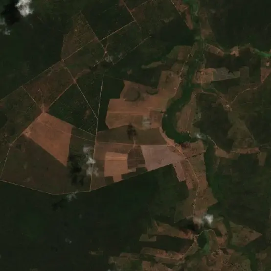 Before — Tuntum (Sentinel-2, 2026-09-07)