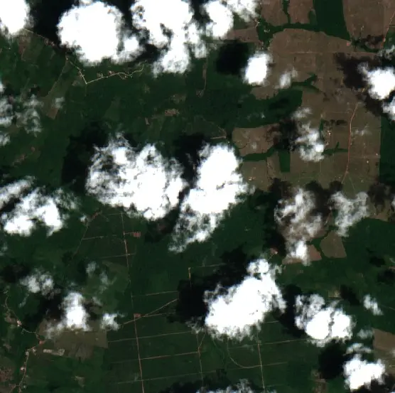 After — Bujaru (Sentinel-2, 2026-10-16)