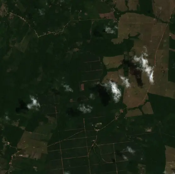 Before — Bujaru (Sentinel-2, 2026-09-03)