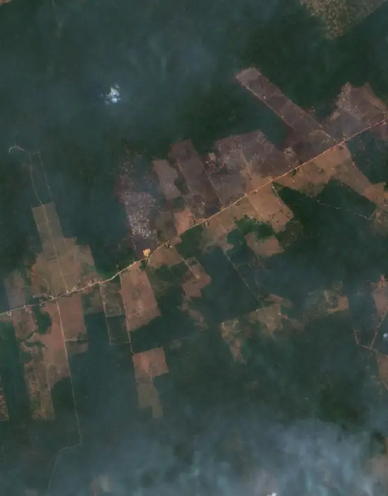 Antes —  (Sentinel-2, 2026-10-07)