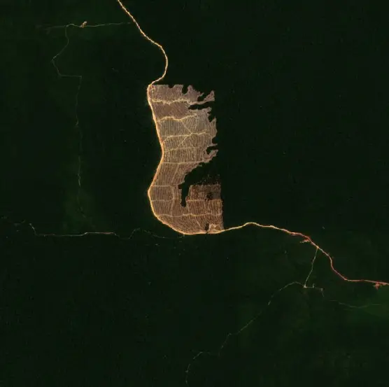 Before — Paragominas (Sentinel-2, 2026-08-04)