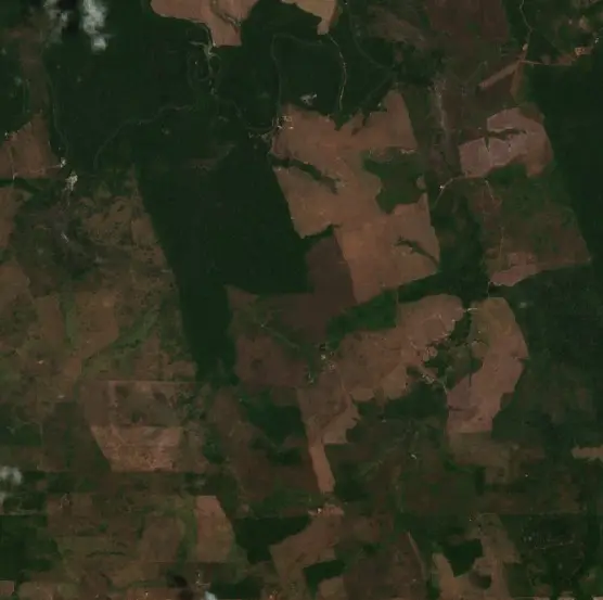 Depois — Paragominas (Sentinel-2, 2026-10-20)
