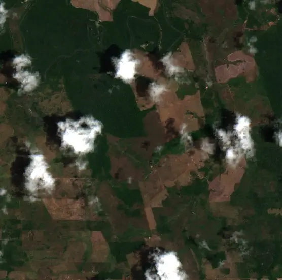 Antes — Paragominas (Sentinel-2, 2026-10-13)