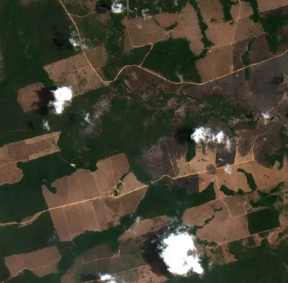 Depois — Novo Progresso (Sentinel-2, 2026-10-09)