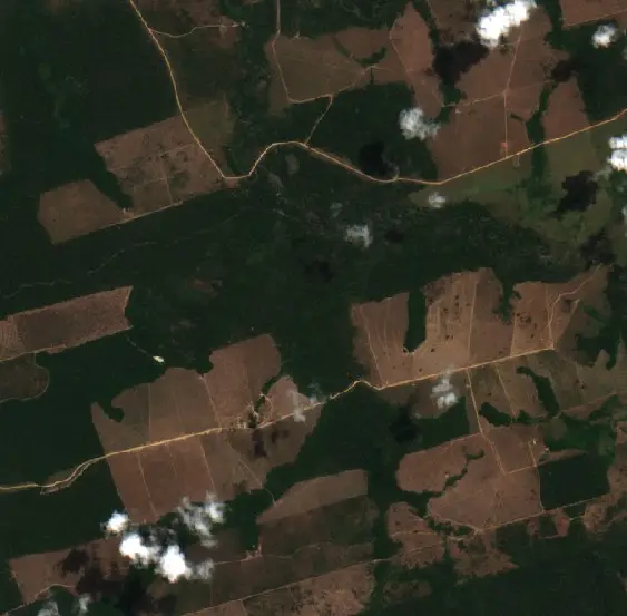 Antes — Novo Progresso (Sentinel-2, 2026-09-02)