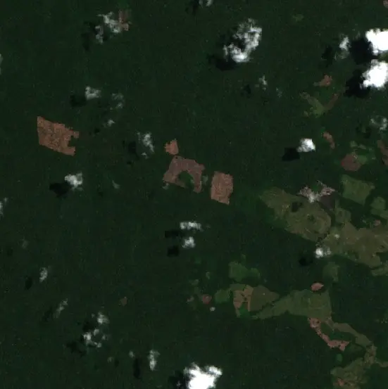 Depois — Tarauacá (Sentinel-2, 2026-09-25)
