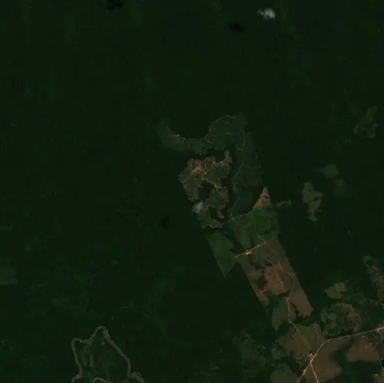 Before — Amajari (Sentinel-2, 2026-08-12)