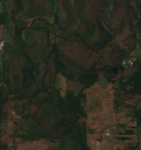After — Monte Alegre (Sentinel-2, 2026-09-02)