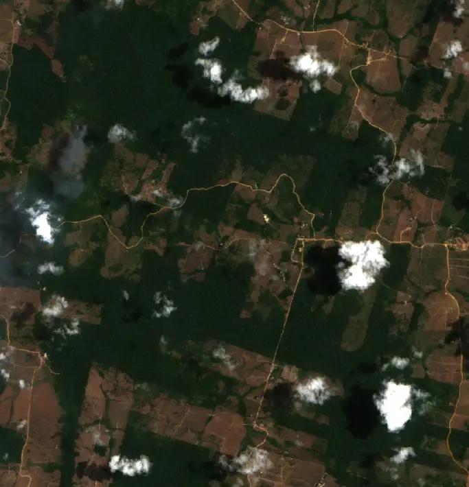 Before — Pacajá (Sentinel-2, 2026-09-14)