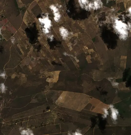 After —  (Sentinel-2, 2026-09-11)