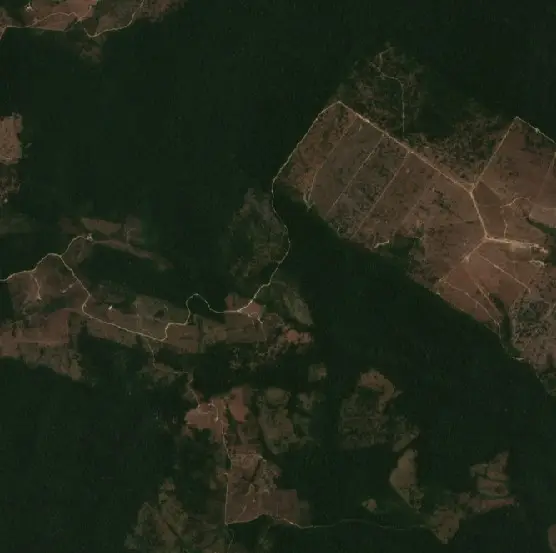 Antes — Portel (Sentinel-2, 2026-09-14)