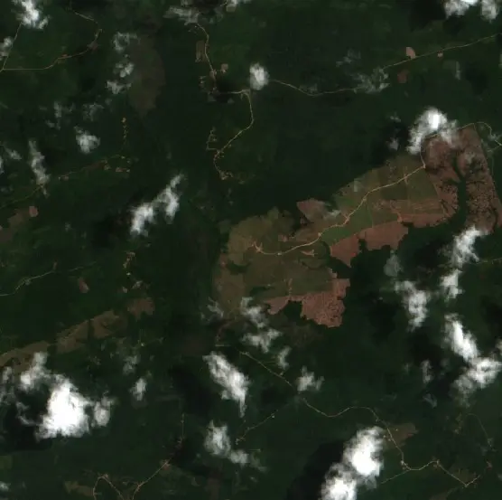 After —  (Sentinel-2, 2026-09-01)