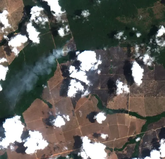 After —  (Sentinel-2, 2026-10-12)