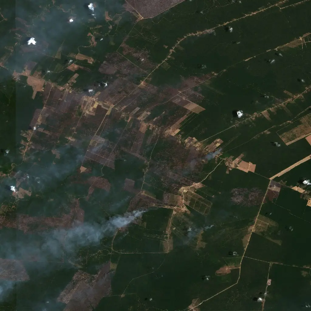 Before — Santarém (Sentinel-2, 2026-10-07)
