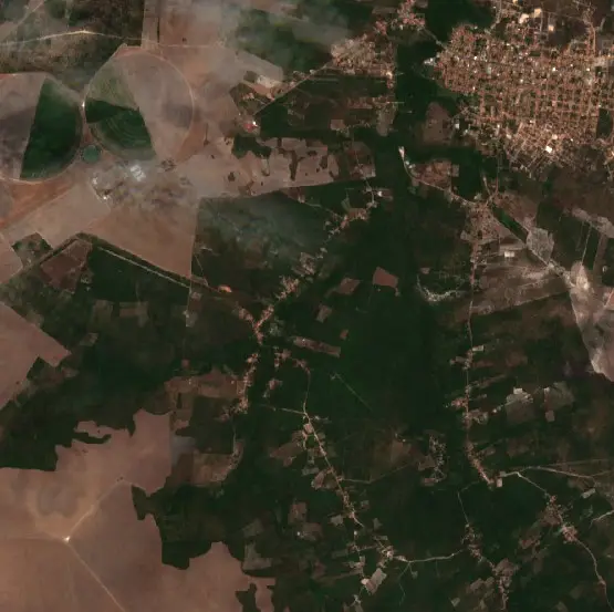 Depois — Mata Roma (Sentinel-2, 2026-10-20)