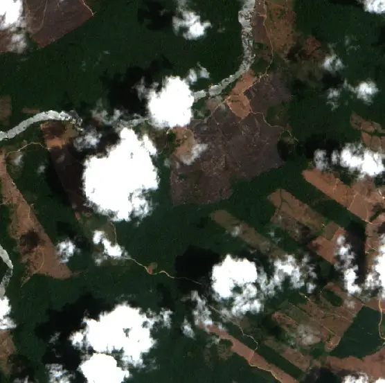 After — Pacajá (Sentinel-2, 2026-10-14)