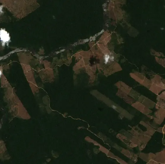 Before — Pacajá (Sentinel-2, 2026-09-14)