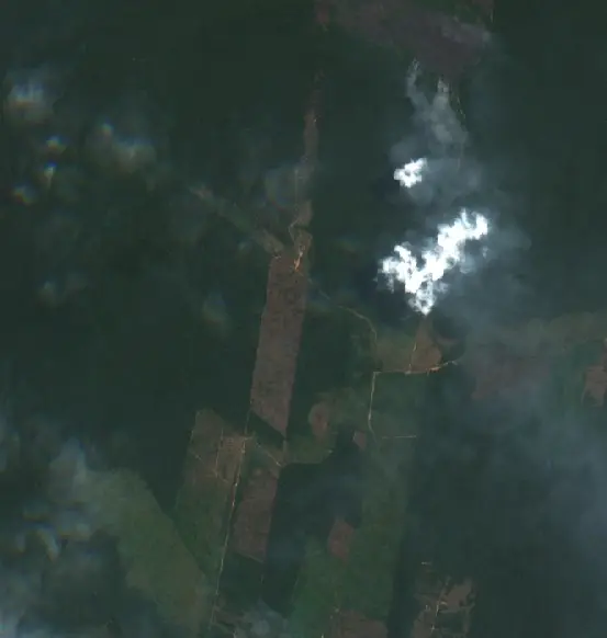 After — Tapauá (Sentinel-2, 2026-09-21)