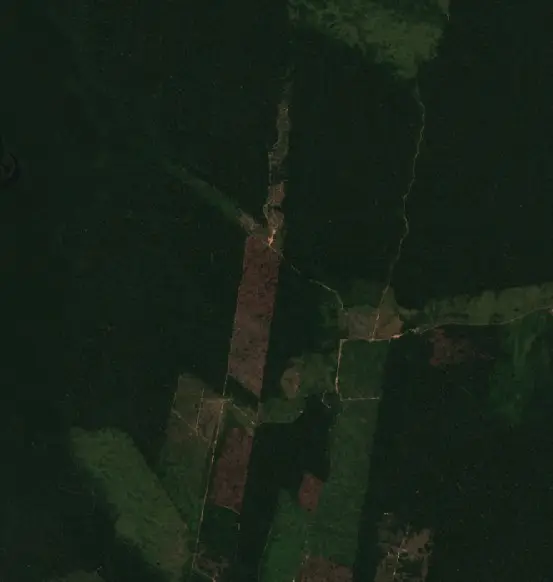 Before — Tapauá (Sentinel-2, 2026-08-22)